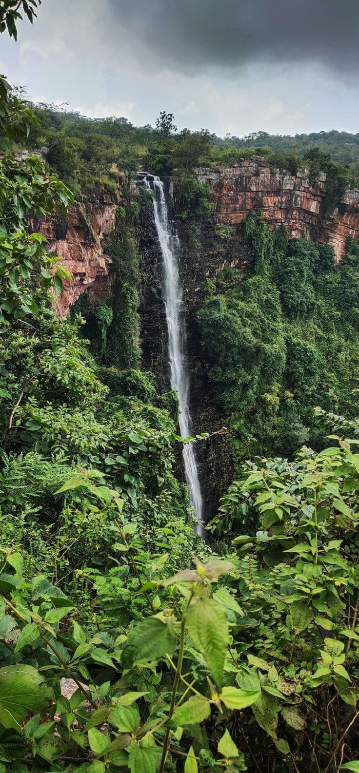 Chhattisgarh landscape